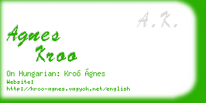 agnes kroo business card